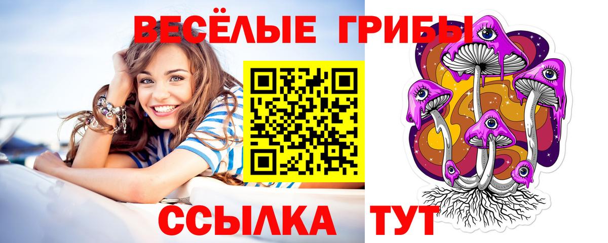 Галлюциногенные грибы Psilocybe  Вход с VPN  Шарыпово 